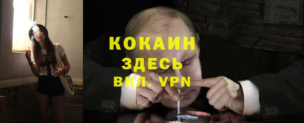 mix Кодинск