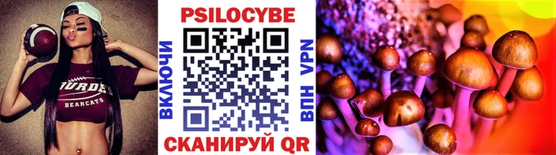 Купить  Беломорск  Галлюциногенные грибы MAGIC MUSHROOMS 